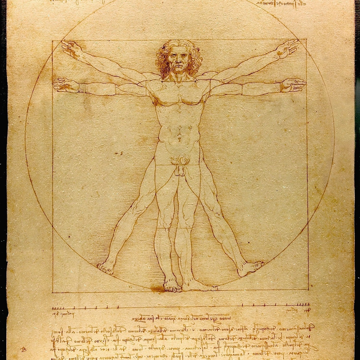 Leonardo da Vinci