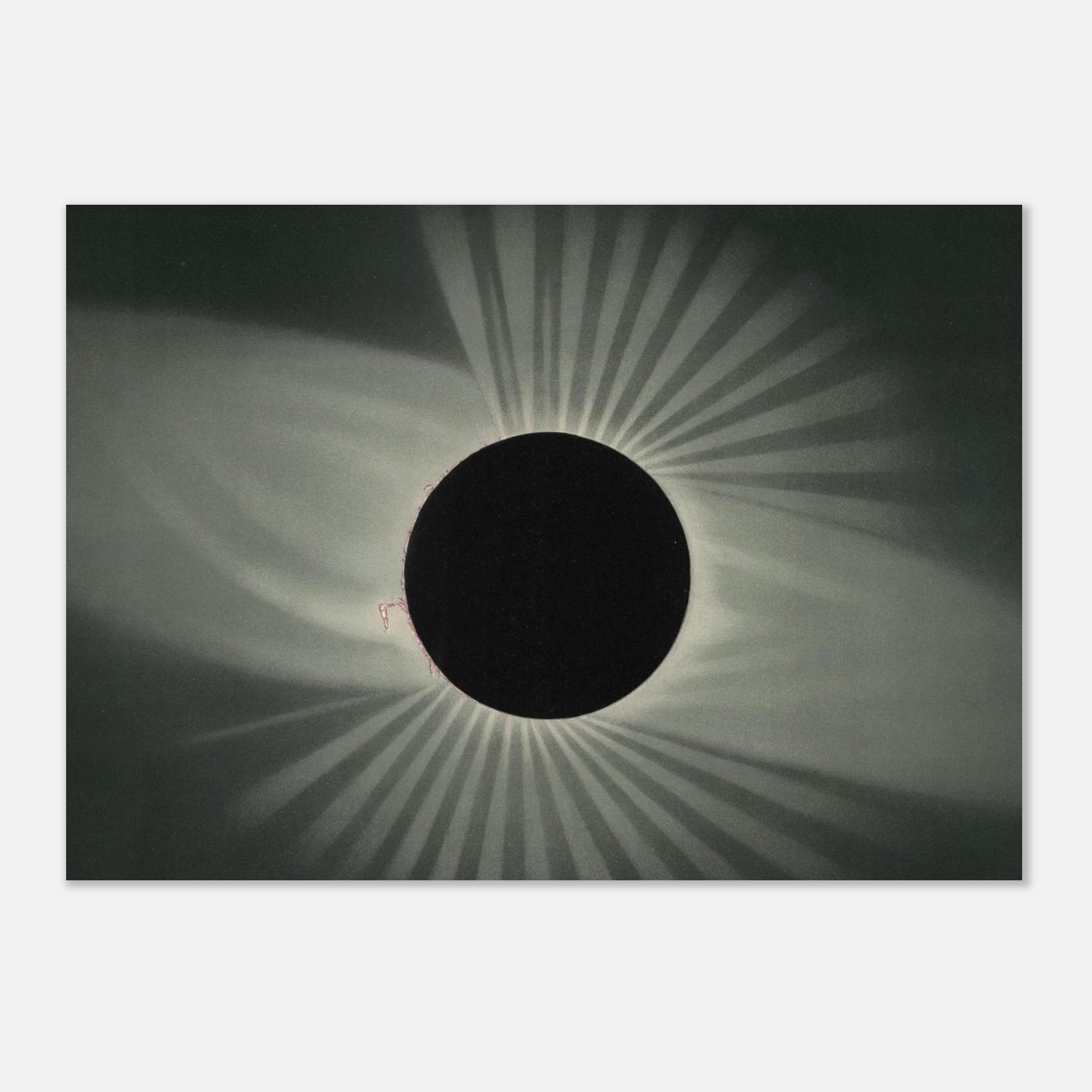 02972398-5b3f-4f84-b768-367744d9344d