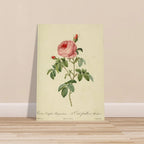 142e2bd6-eebe-4ae5-a6db-92cf3ddd0128