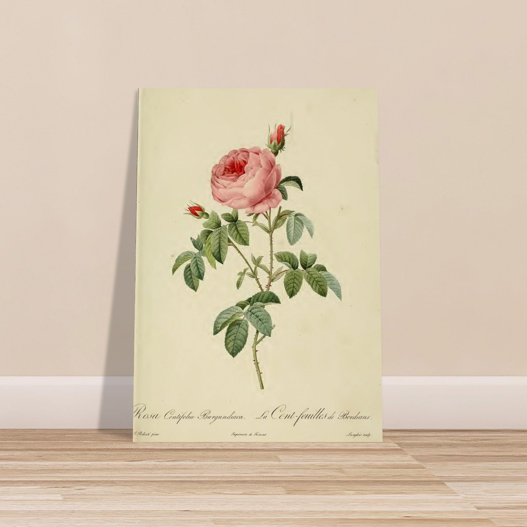142e2bd6-eebe-4ae5-a6db-92cf3ddd0128