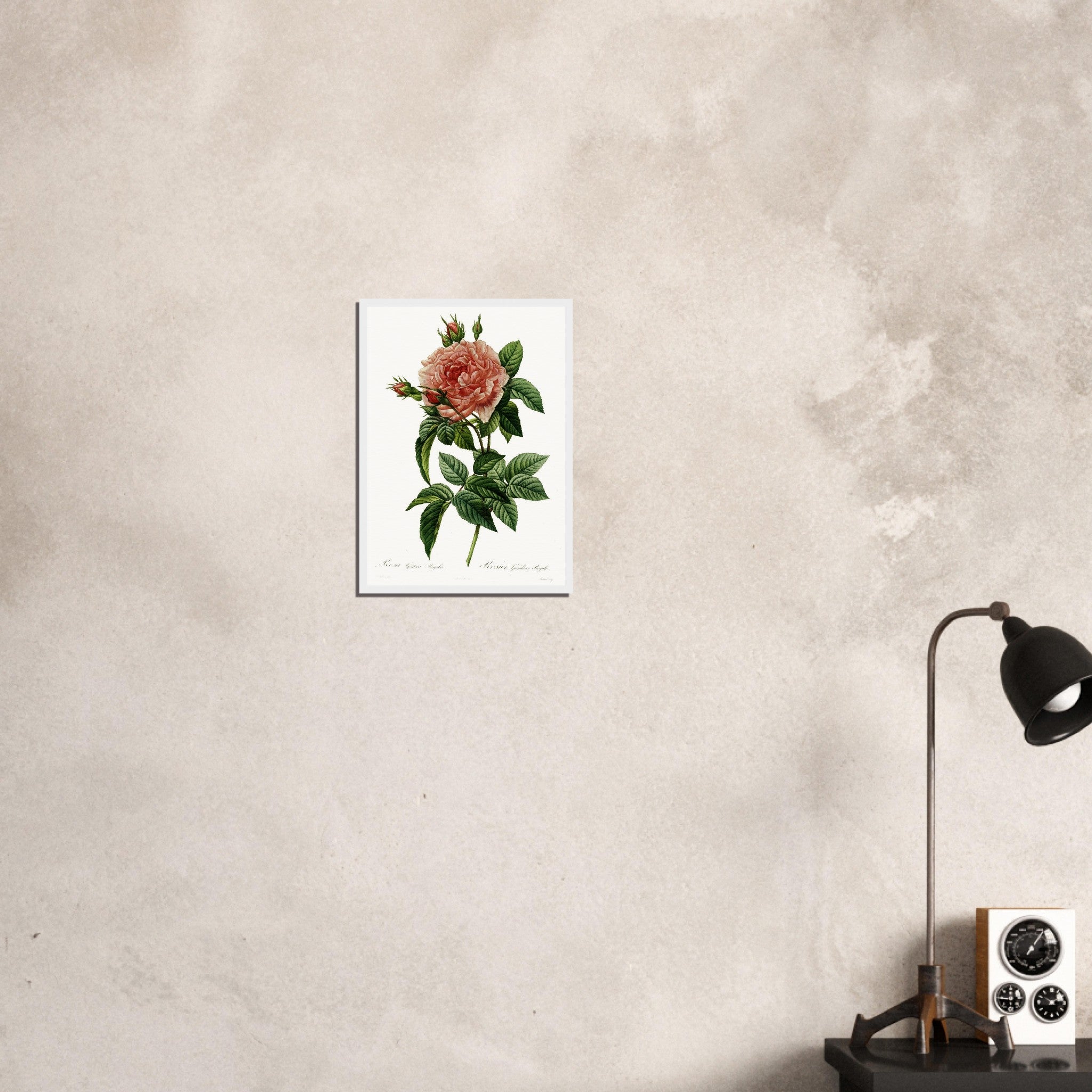 c8aa3e57-f770-4eb1-82ae-977e1156b7e2