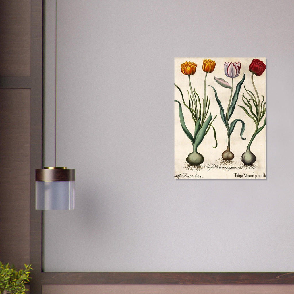 eb5d6975-e2ec-425b-b870-ac9e90834a23